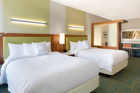 SpringHill Suites by Marriott Tuscaloosa — 3