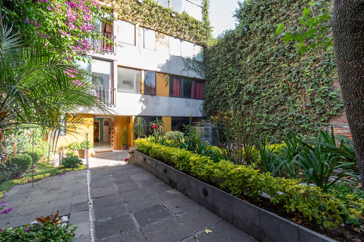 Terraza & Loft San Angel — 3
