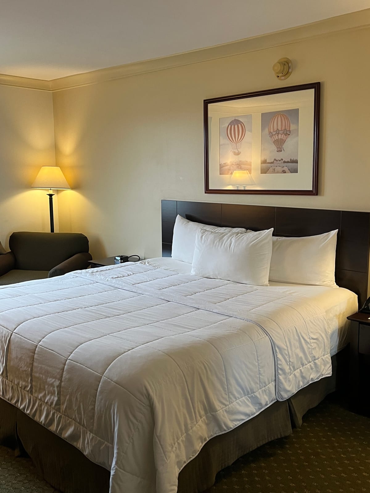 Meadowlands Plaza Hotel — 2