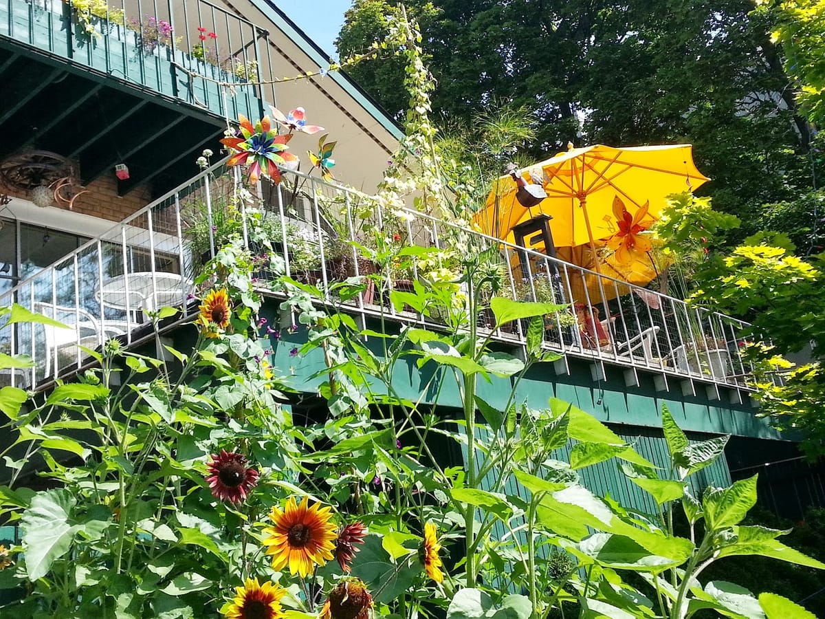 Ann Arbor Bed & Breakfast Inn @ Rackham Gardens — 3
