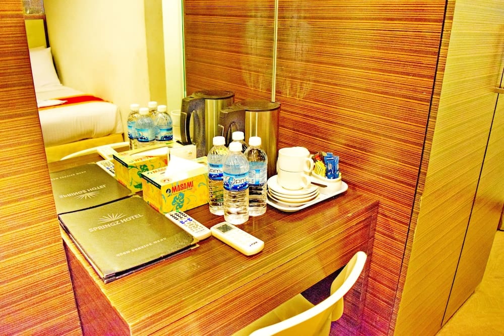 Springz Hotel — 2