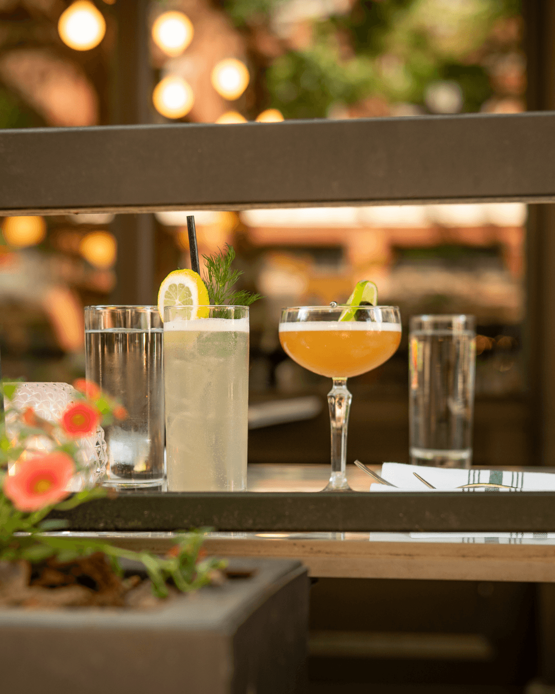 The Oliver Hotel Knoxville, by Oliver — 2