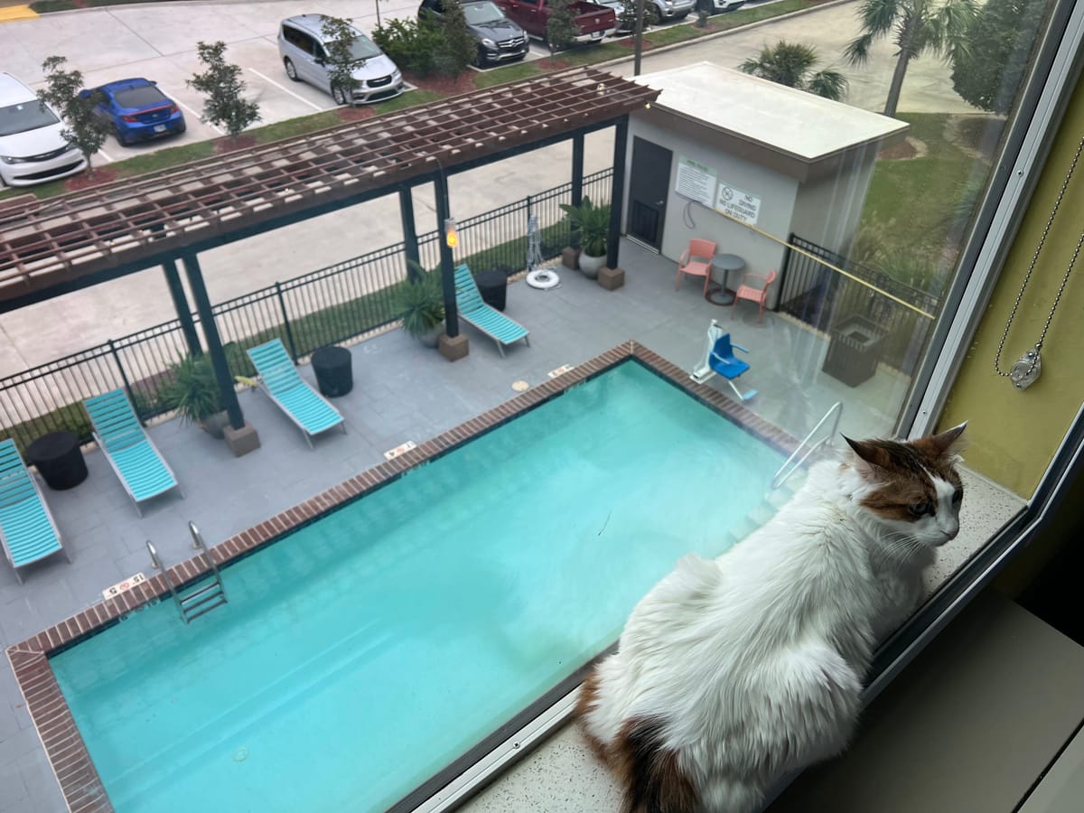 Home2 Suites by Hilton Baton Rouge — 3